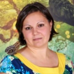 Антонова Анастасия Сергеевна